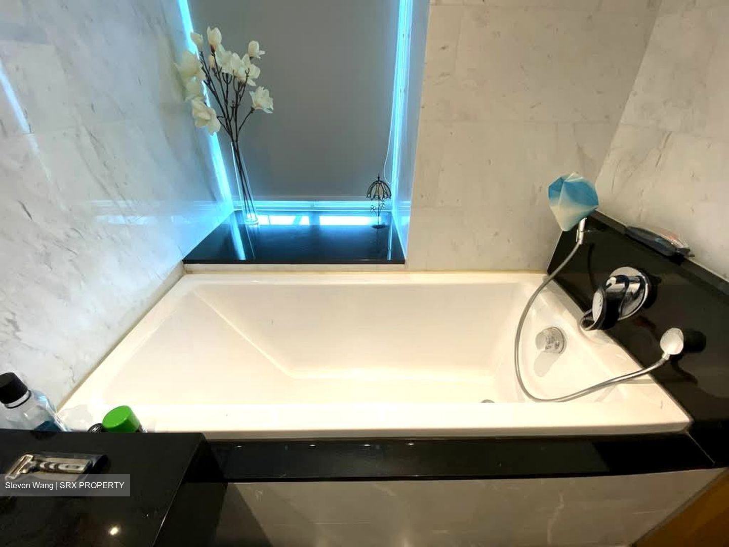 Lush On Holland Hill (D10), Condominium #549305611